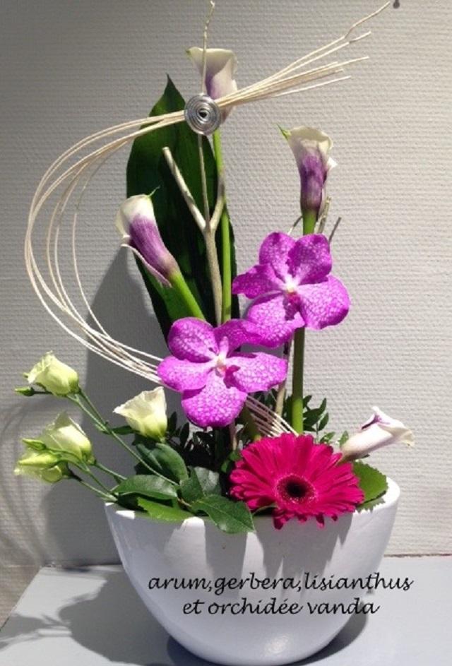 arum-gerbera