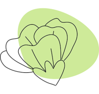 fleur-verte
