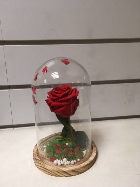 rose-eternelle