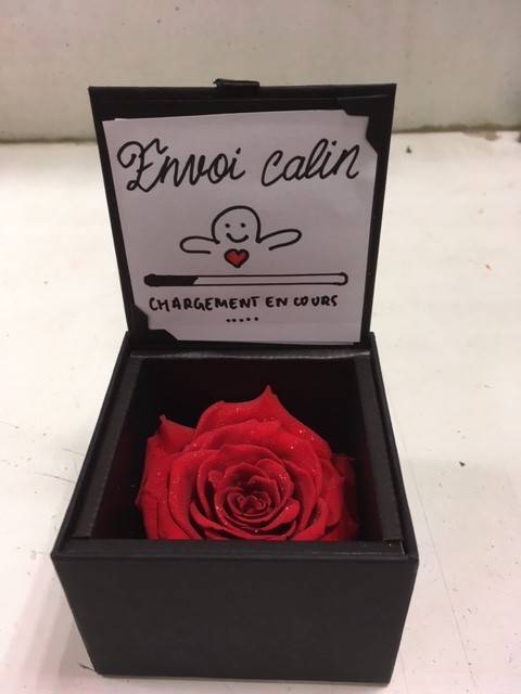 coffret-rose-eternelle