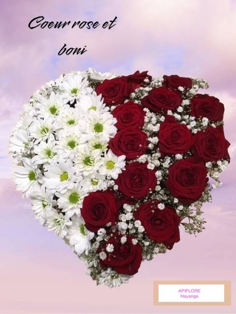 Photoroom_20240627_195152